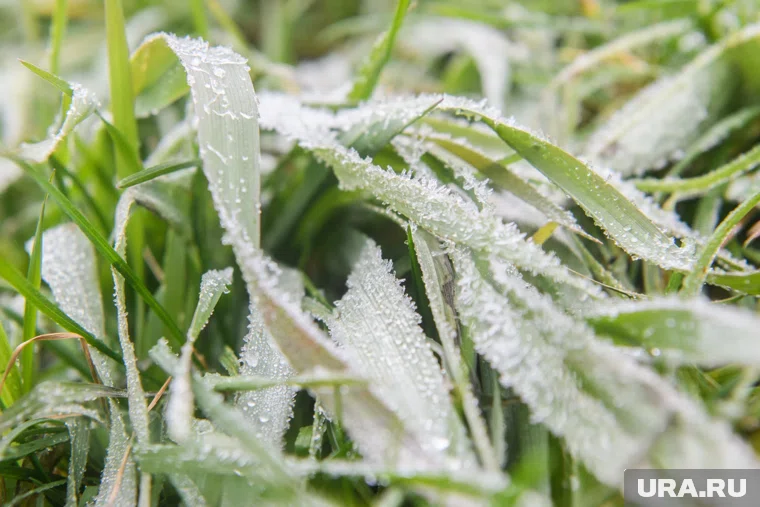 1 декабря в России стартует зима