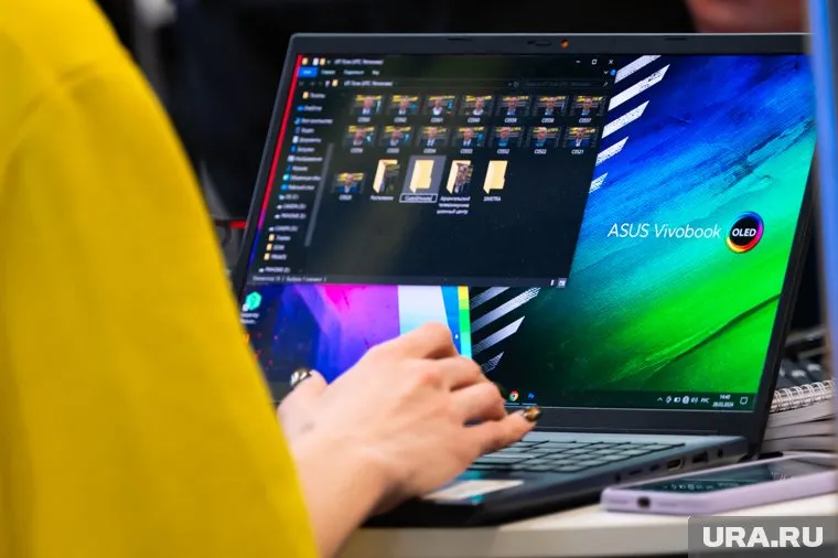 Новая программа бакалавриата открыта в 2025 году