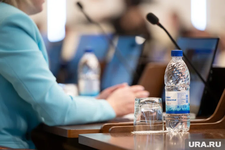 Ранее эту должность занимала Татьяна Горбунова