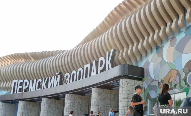 В зоопарке пополнение