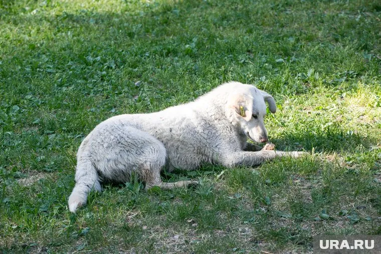 За это мужчину могут лишить свободы (архивное фото)
