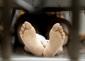 Фотография из галереи