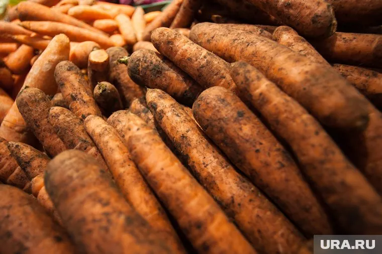 Килограмм моркови стал в среднем стоить 85,14 рубля