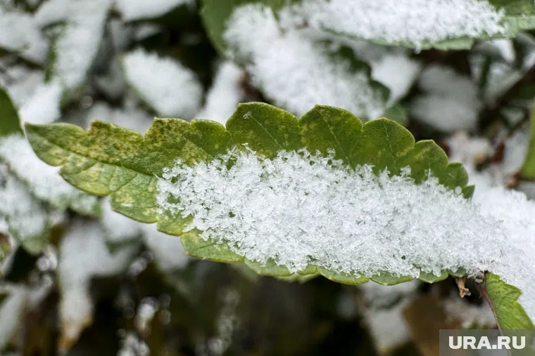 Якутия встретит первые снегопады в выходные