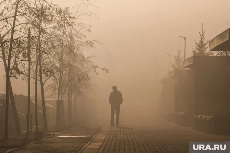 Концентрация диоксида азота и сероводорода в воздухе Нижнего Тагила превышены в 1,5 и 1,3 раза соответственно