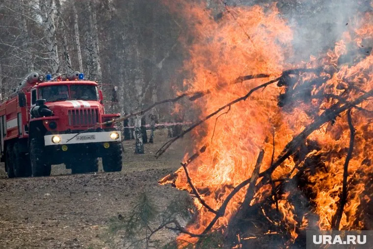 В Тюменской области 4 мая действует 13 лесных пожаров