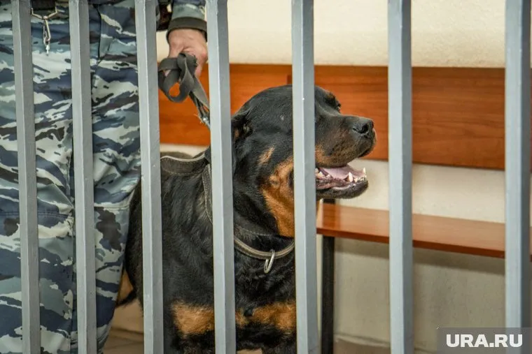 Судебное заседание проходило в закрытом режиме