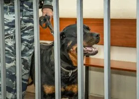 Фотография из галереи