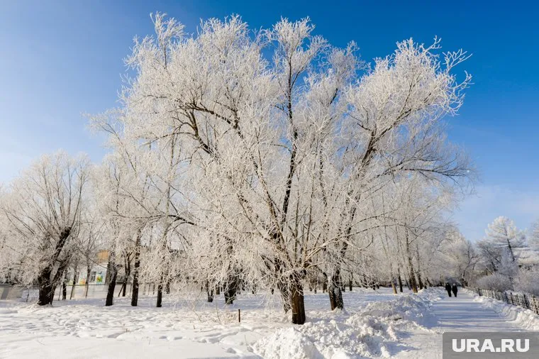 Учащимся 1-4 классов рекомендуют не выходить на улицу