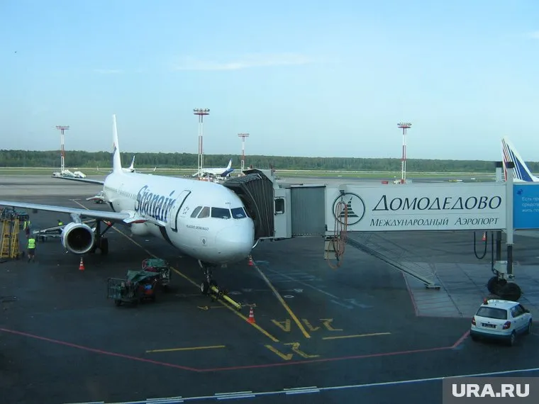 Во Внуково и Домодедово объявлен план «Ковер»