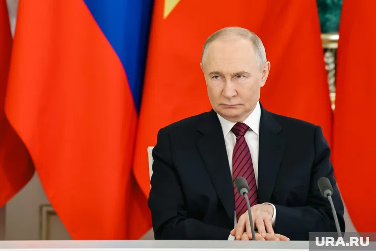 Путин считает важным, чтобы на фоне повышения НДС не выросла теневая экономика