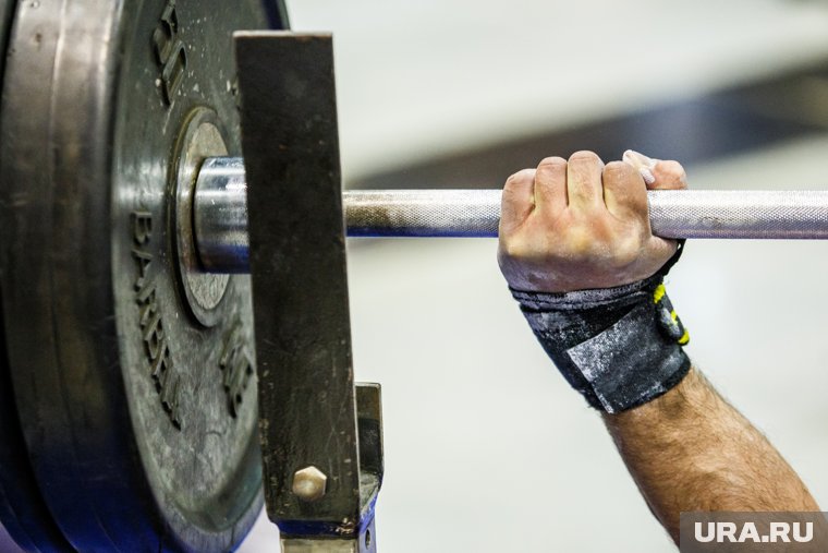 Пауэрлифтеры из Курганской области завоевали медали на чемпионате в Мурманске. Фото