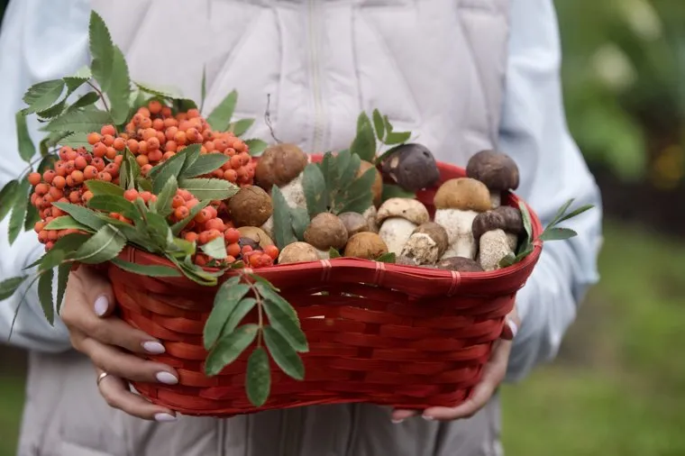 День знаний. 1 сентября в школе Точка. Пермь