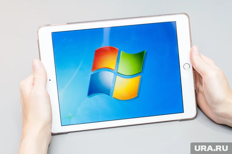 Среди брендов, на которые подала заявку компания, значатся Windows, Excel и Xbox