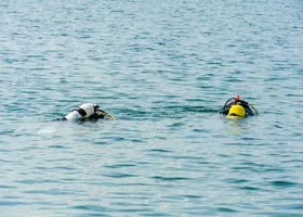 Фотография из галереи