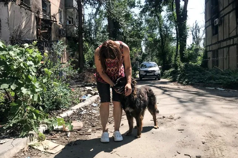 Приют для животных ДНР, Мариуполь