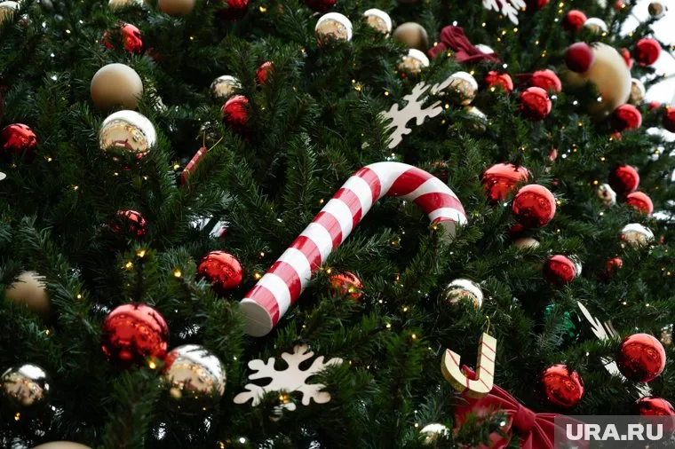 Губернаторскую елку на Ямале посетят школьники из Волновахи и гости из Сербии