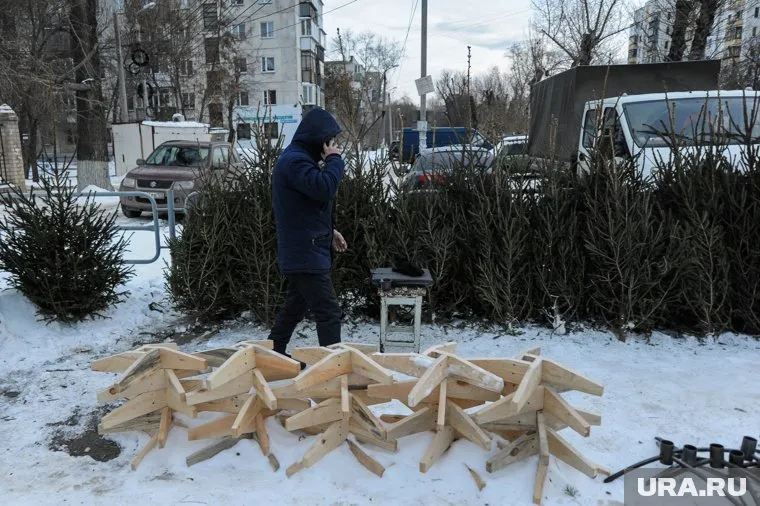 В Кургане скоро откроются елочные базары