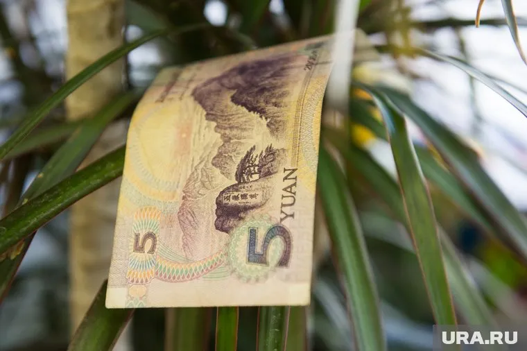 Лучше всего деньги хранить в юанях, считает Артем Тузов