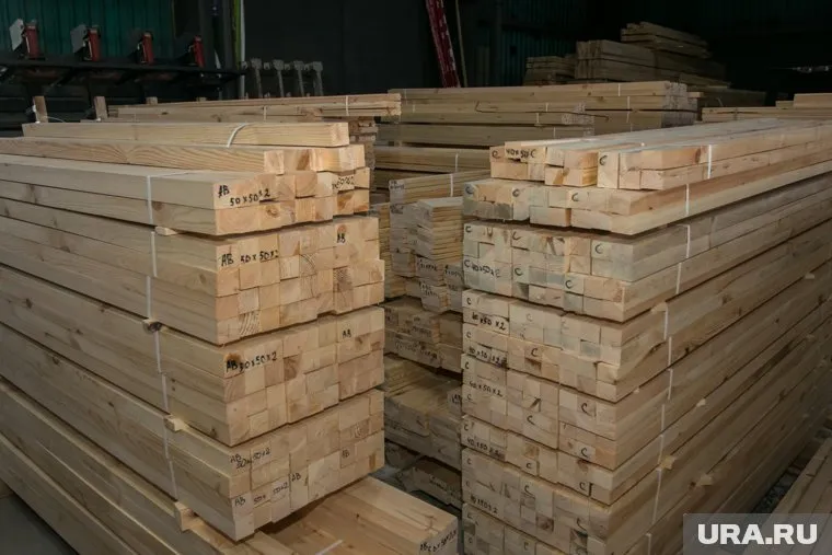 Древесину хотели незаконно вывезти за границу
