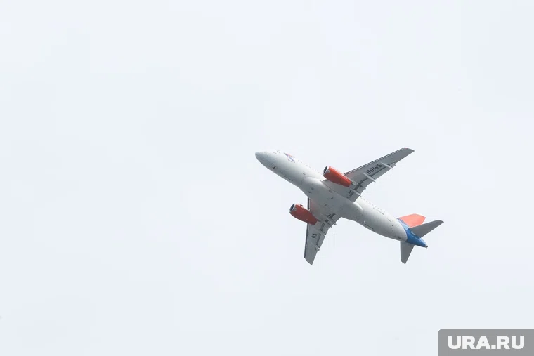 Перелеты между Петербургом и Краснодаром станут ежедневными, сообщили в «Аэрофлоте»