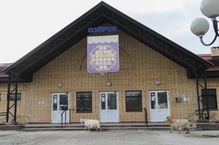 Суд Цыбко Озерск Челябинск, озерские козлы