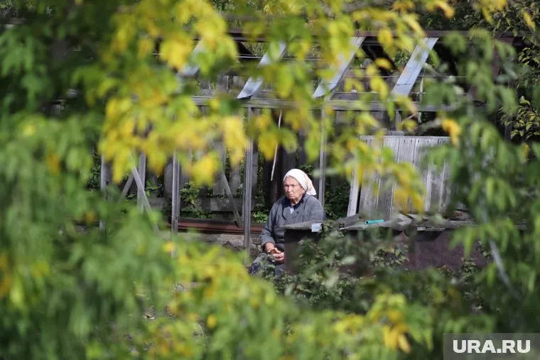 Власти России признали отсутствие реальной индексации пенсий