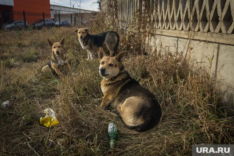 Напитки — безалкогольные и даже полезные