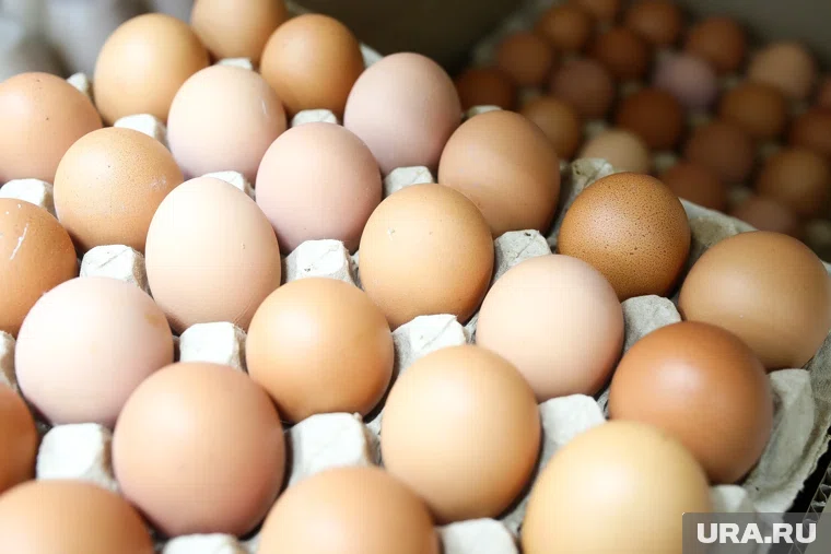 Россия вошла в пятерку стран с самыми низкими ценами на яйца