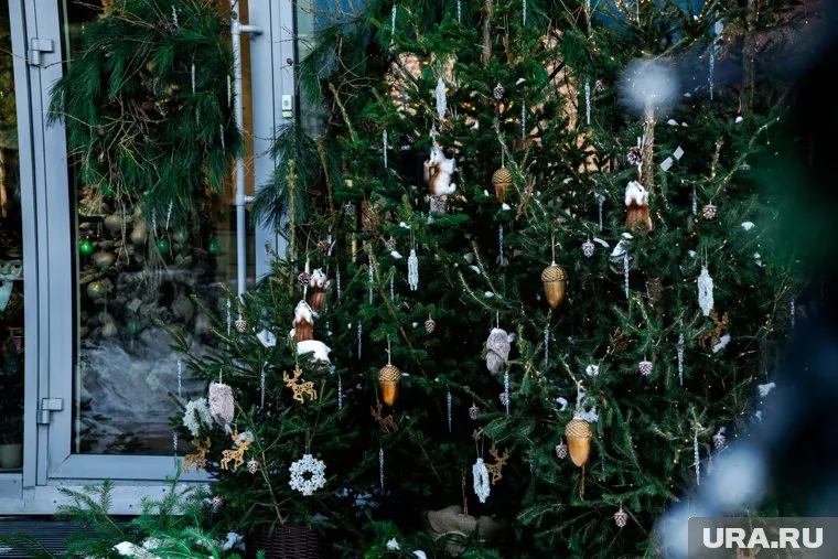 Дерево сгорело полностью