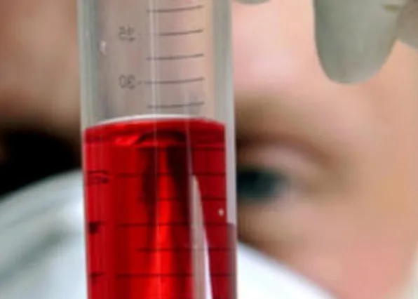 Фотография из галереи