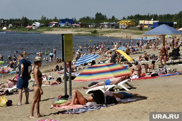 Отдыхающие на черноморских курортах пожаловались на наличие клопов и тараканов в номерах, передает MK.RU