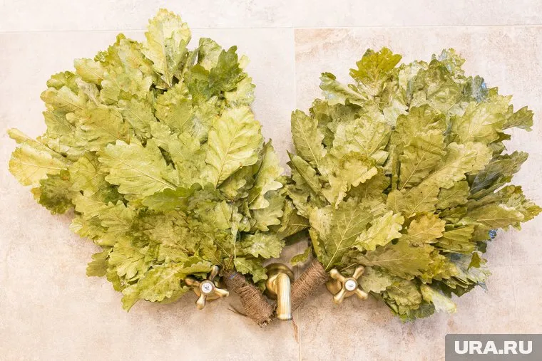 Югорчанам смогут предоставить мобильный банный комплекс