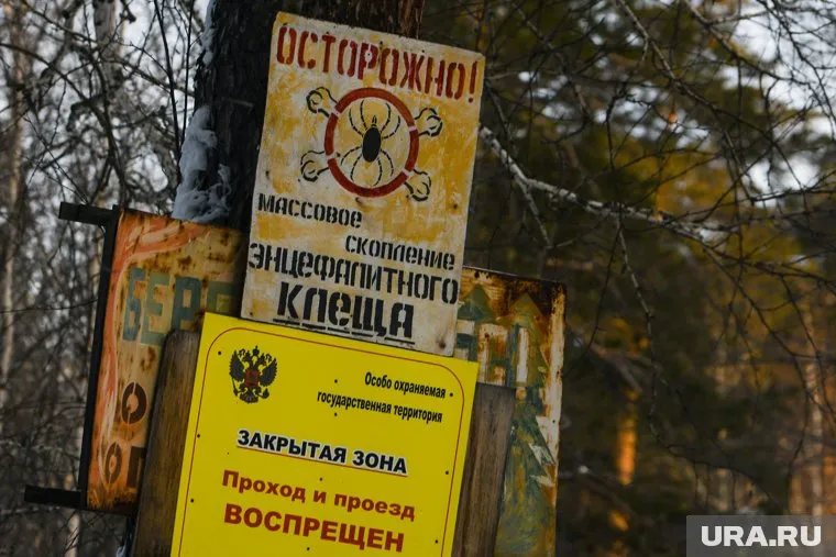 Всего обработают 289,14 гектара территорий