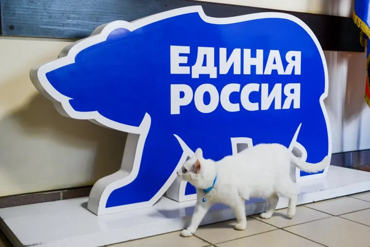 Илья Коломейский заявился на предварительное голосование (праймериз) «Единой России». Челябинск