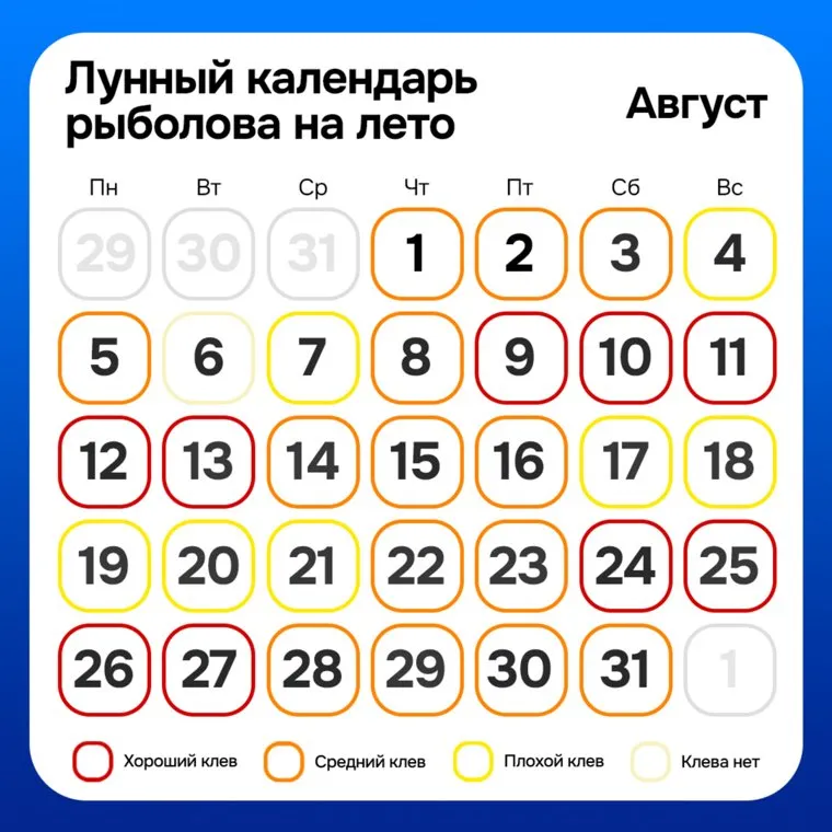 Лунный календарь рыболова на лето: август 