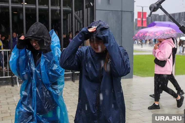 Дожди нагрянут в регион в октябре (архивное фото)