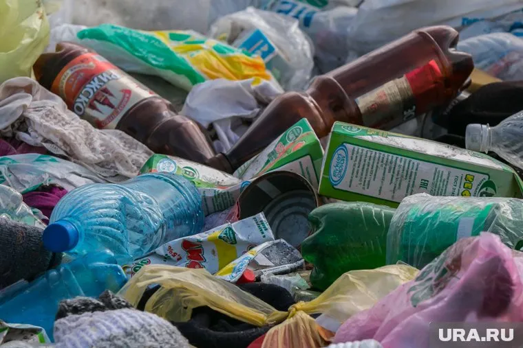 В России огромное количество мусора свозится «под ближайший куст»