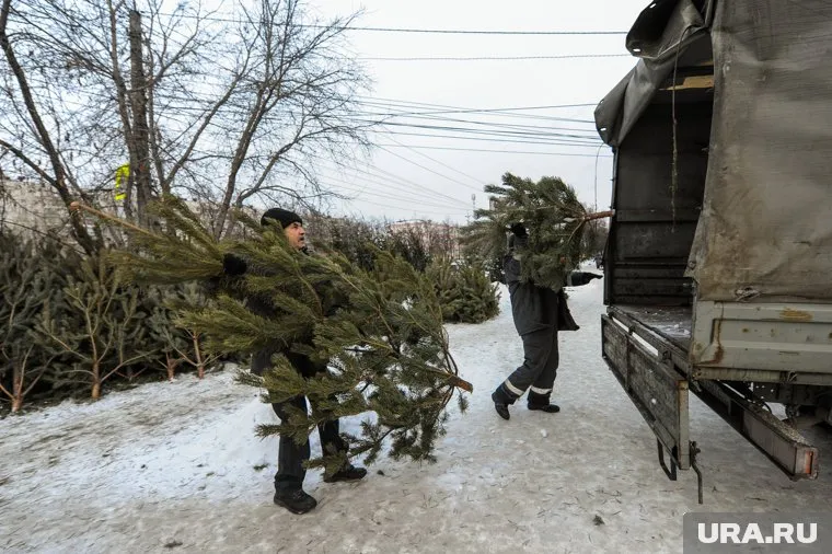 Оставшиеся после 31 декабря елки пригодятся животным