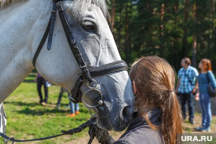 В Сургутском районе для детей устроят скачки на игрушечных лошадях
