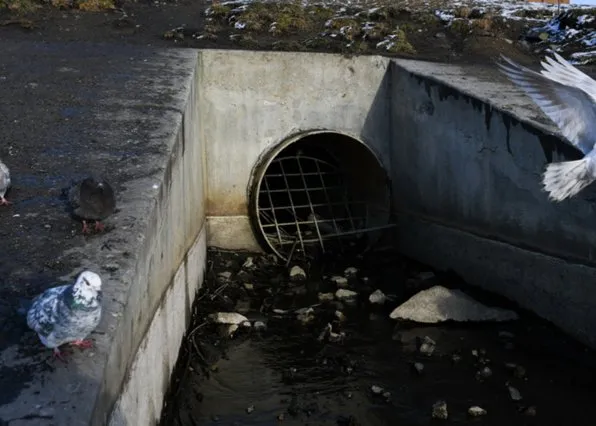 Фотография из галереи