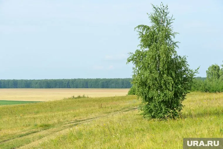 В день Мокея Мокрого работы в поле откладывали, посвящая время дому и отдыху