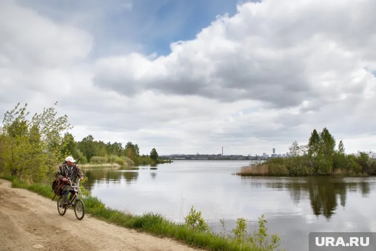 Купаться, несмотря на чистую воду, в прудах пока нельзя — официальные разрешения еще не выданы
