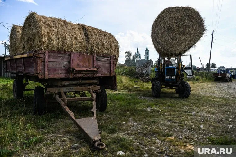 Смертельный наезд трактора на ребенка произошел в Ярковском районе