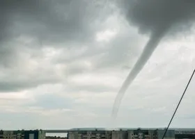 Фотография из галереи