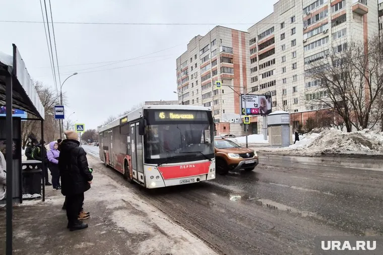 Прибыльными в 2024 году стали 22 автобусных маршрута