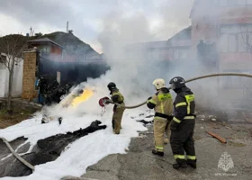 Фотография из галереи