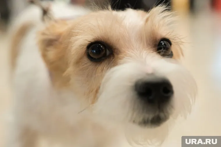 По словам пострадавшей, ущерб составил 170 тысяч рублей