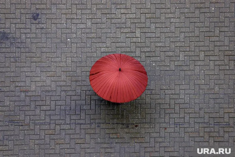 В Перми ожидается дождь