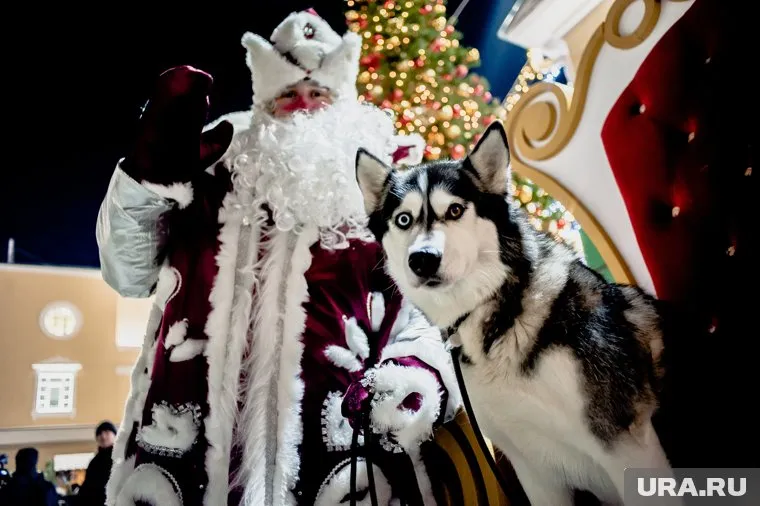 В новогодние праздники вырастет спрос на поездки внутри России